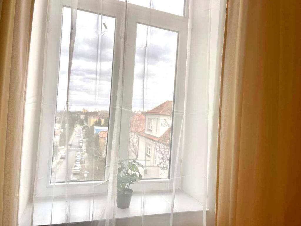 Apartman Vinohrady Брно Экстерьер фото